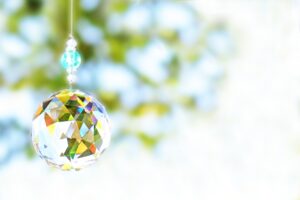 私が実際に試して感じた観葉植物の風水効果