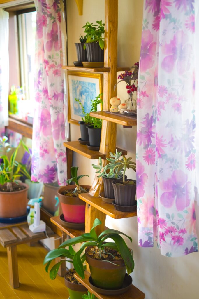 風水運気を高めるおすすめの観葉植物