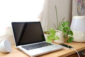 仕事部屋には、成長を象徴する背の高い植物や、机の上に置ける小さなグリーンが最適です。