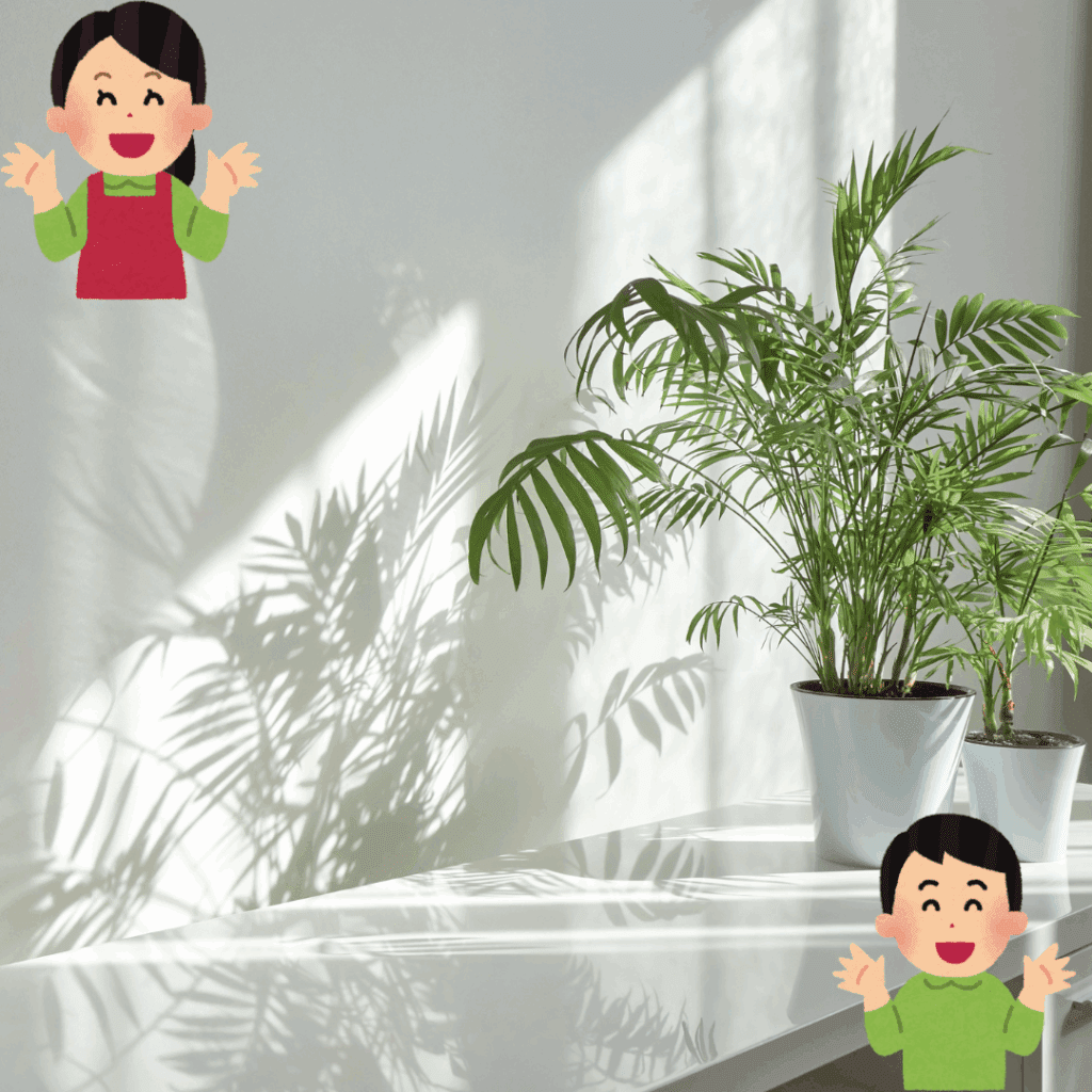 観葉植物との暮らしをもっと楽しむコツ
