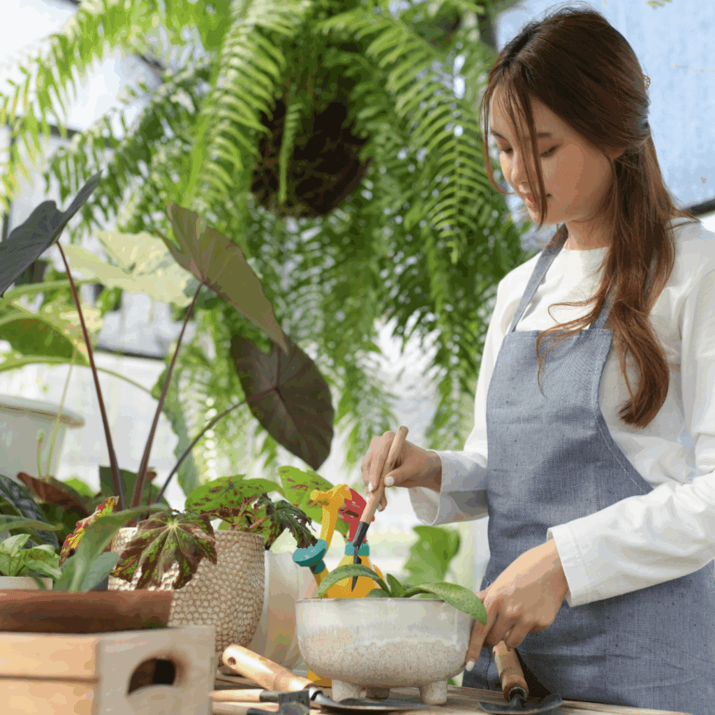 ちょっとした工夫で観葉植物ライフをもっと快適に
