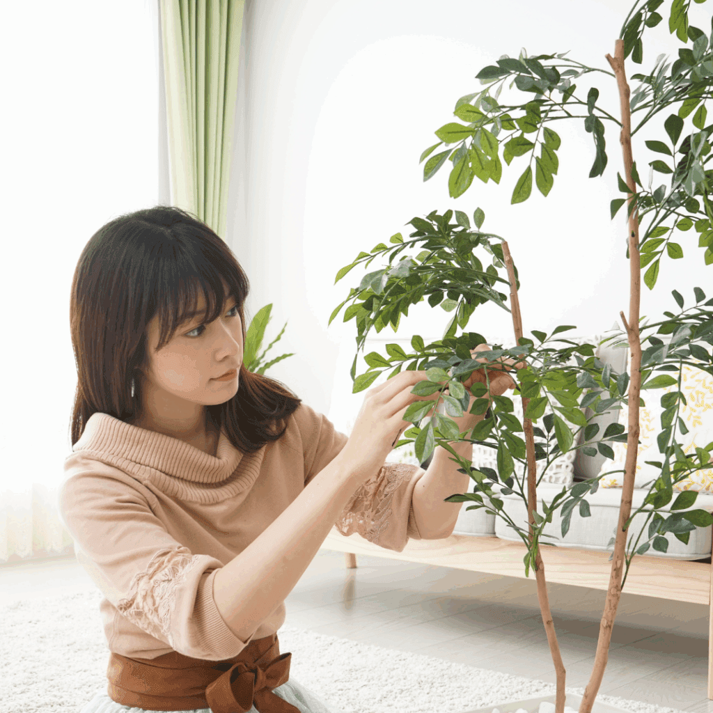 観葉植物を長く楽しむための簡単なケア方法