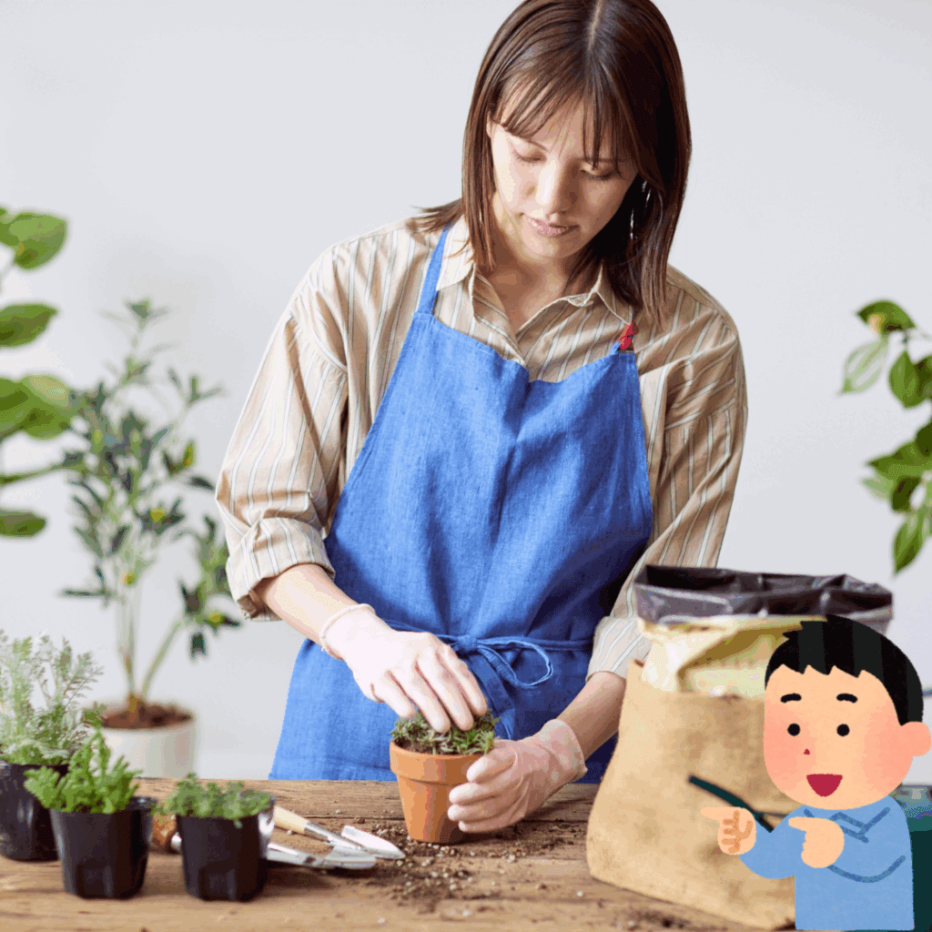 6月に与える栄養と植え替えのコツ