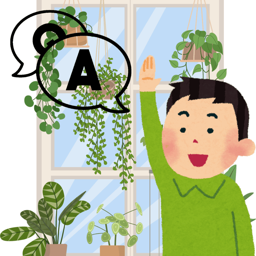 観葉植物Q&A読者の質問に答えます。