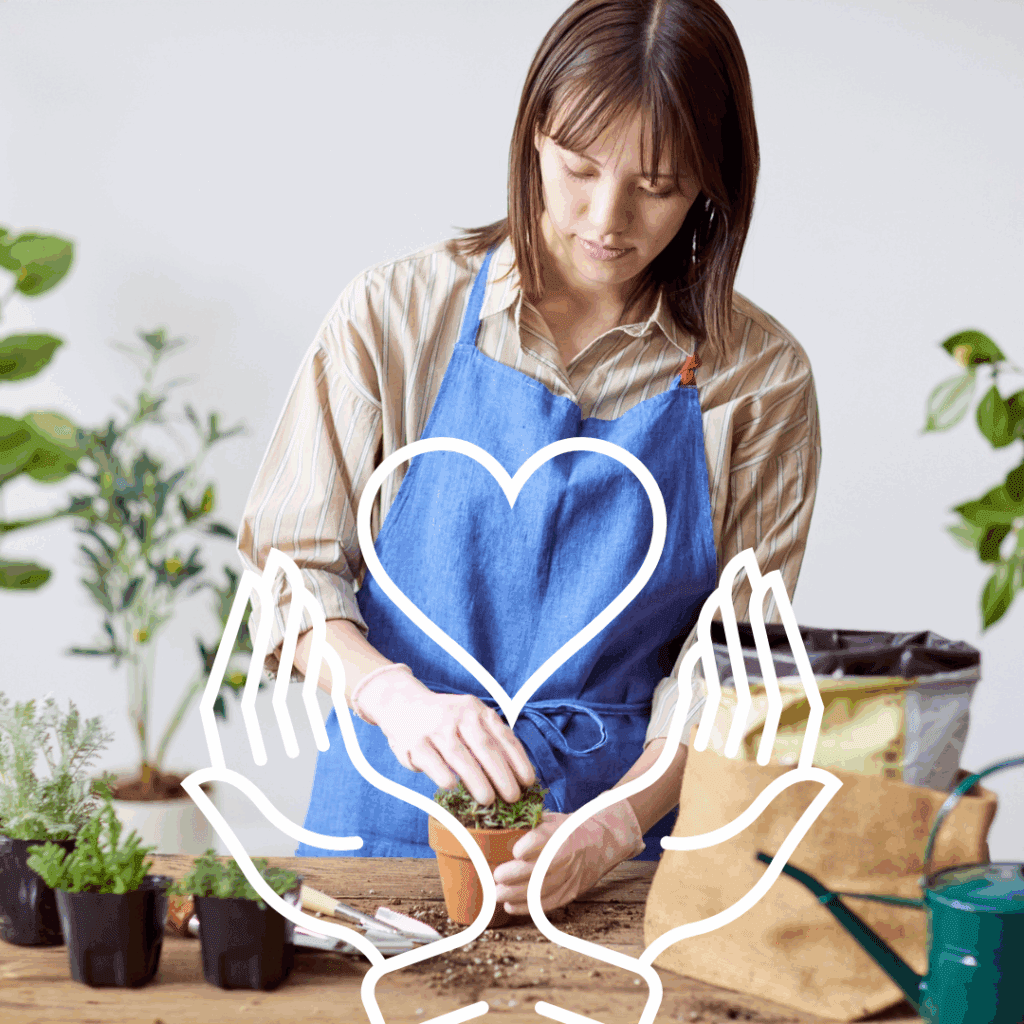 観葉植物をカビやキノコから守るコツ