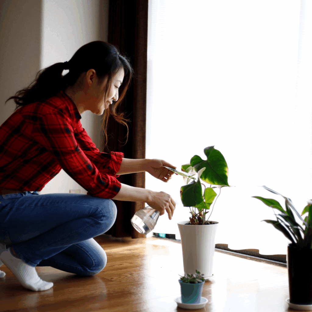 観葉植物と暮らす楽しさを守るために