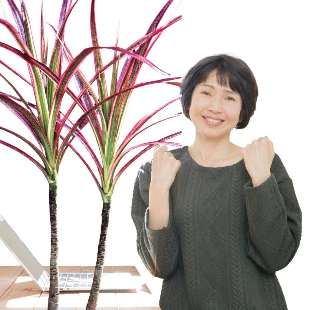 観葉植物をもっと楽しむ応用テクニック