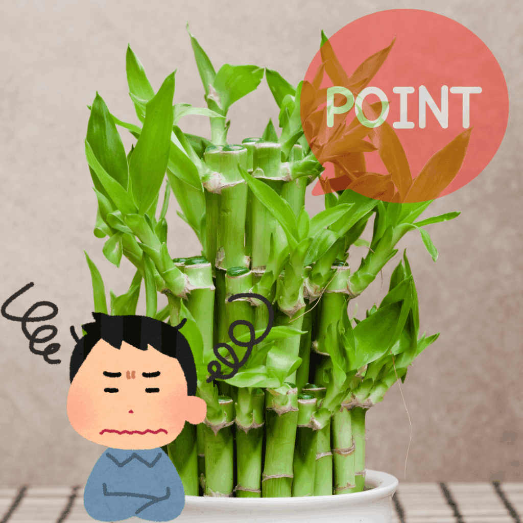 トラブルを防ぐ！元気に育てるためのポイント