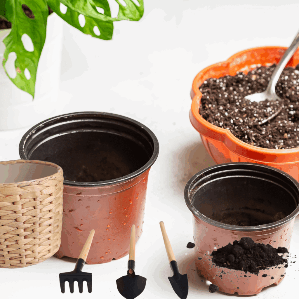 植え替えを始める前に、下記を準備しましょう。