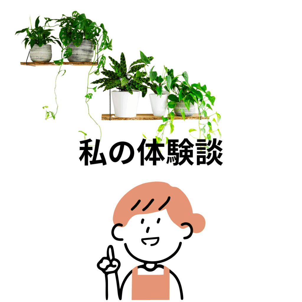 失敗と成功体験