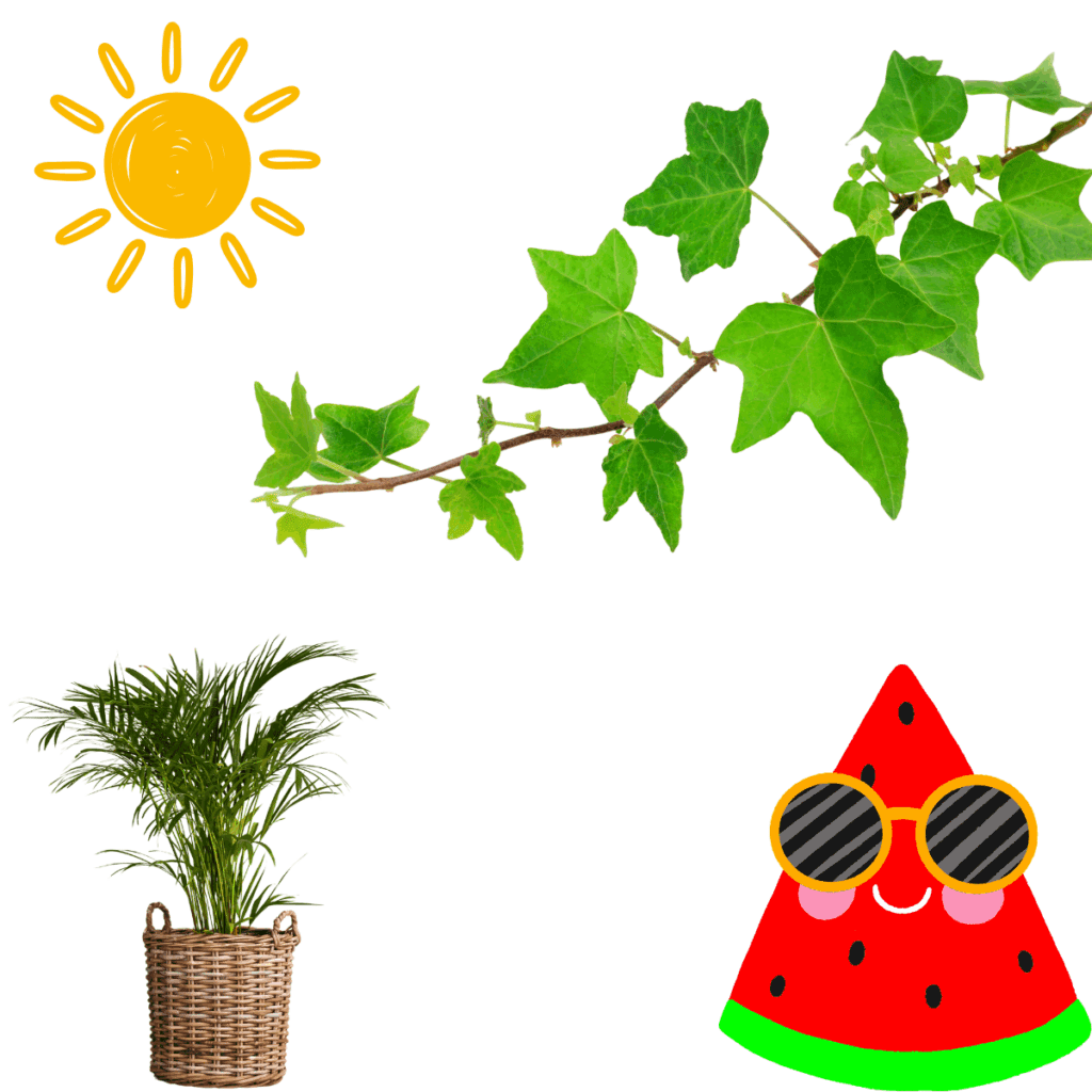 夏になると、観葉植物の育成も一層注意が必要になります。暑い季節でも元気に育つようにするためには、ちょっとした工夫が必要です。