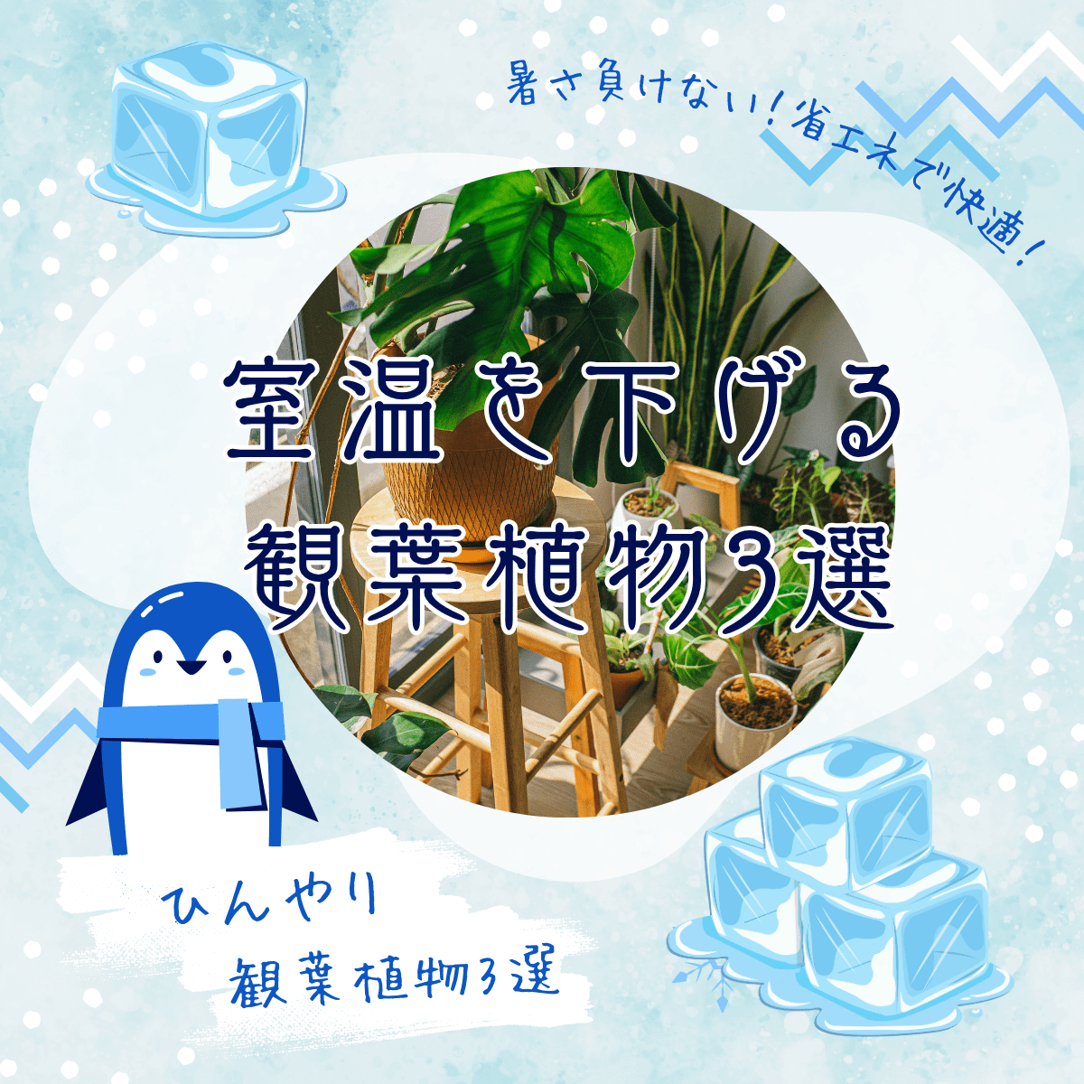 観葉植物で暑い季節を涼しく快適に過ごす！室温を下げる観葉植物3選｜自然の力でエアコンいらずの部屋づくり