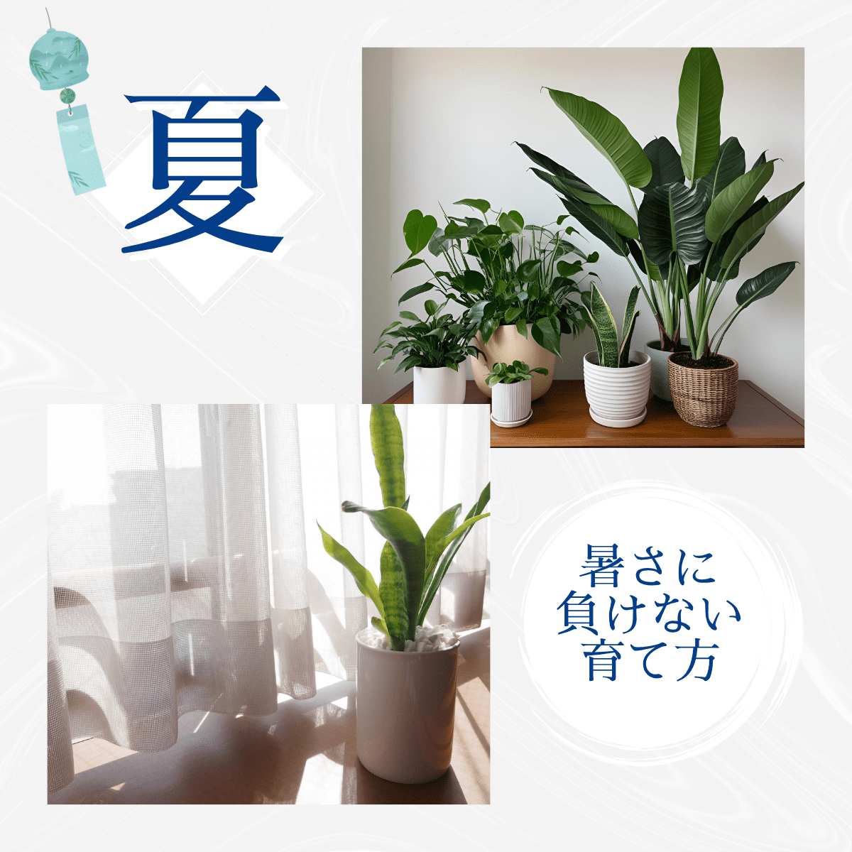 観葉植物 夏 育たない理由と対策