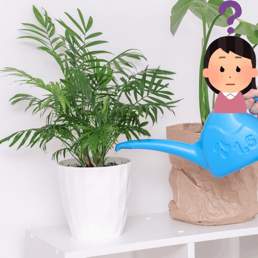 植物って意外と繊細で、「今日はたっぷり、明日は忘れた」みたいな水やりってストレスになっちゃうんですよ。