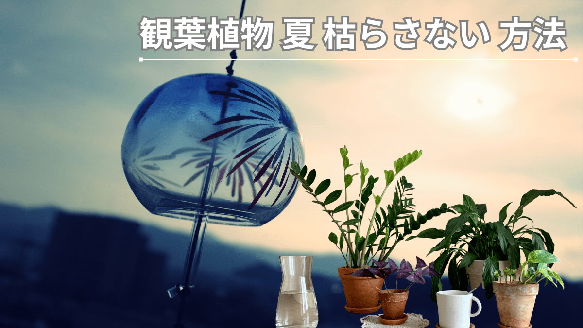 暑い季節になると、せっかく元気に育っていたグリーンたちが突然しおれてしまう……そんな経験ありませんか？