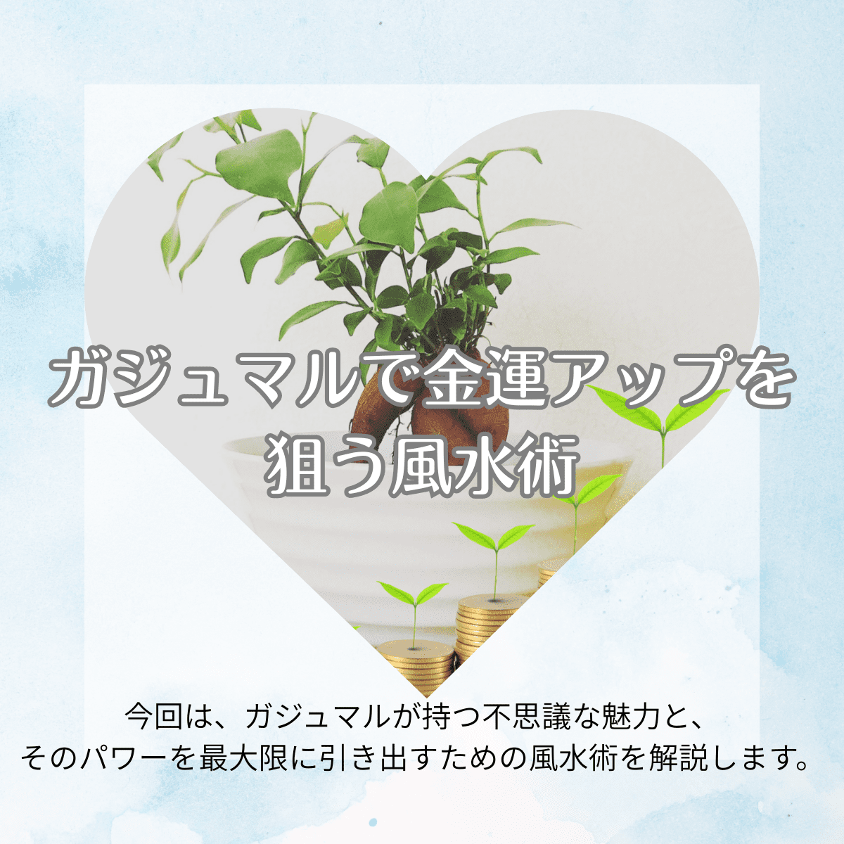 開運×お金！ガジュマルで金運アップを狙う風水術