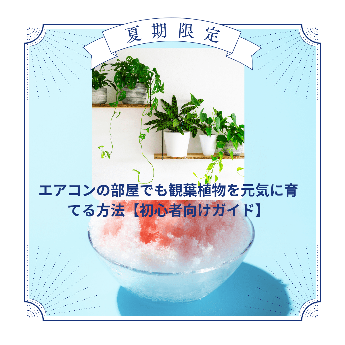 エアコンの部屋でも観葉植物を元気に育てる方法【初心者向けガイド】